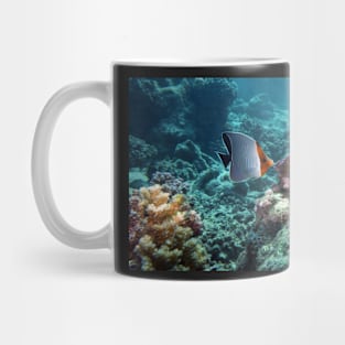 angel fish Mug